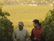 Two people walking in a vineyard